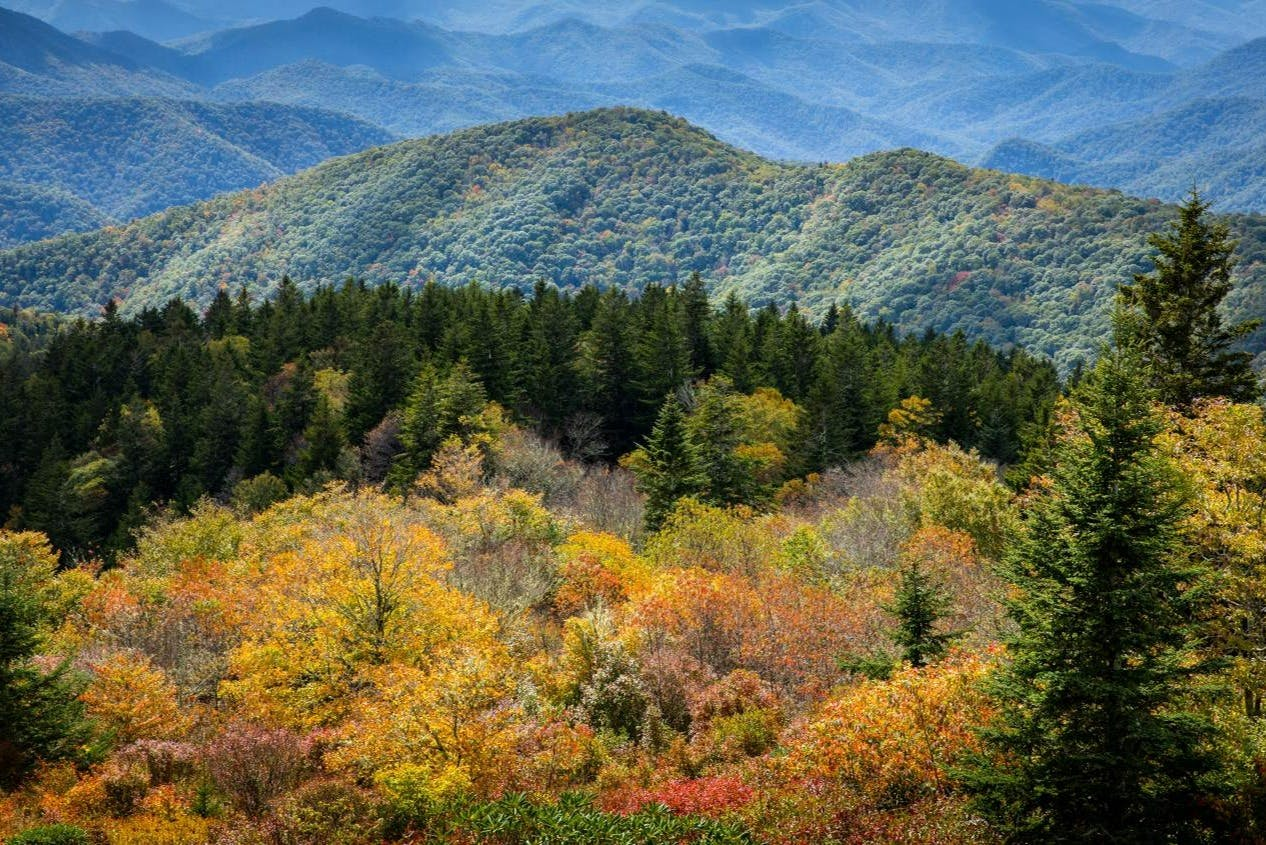 Blue Ridge Parkway: Self-Guided Driving Tour - Photo 1 of 8